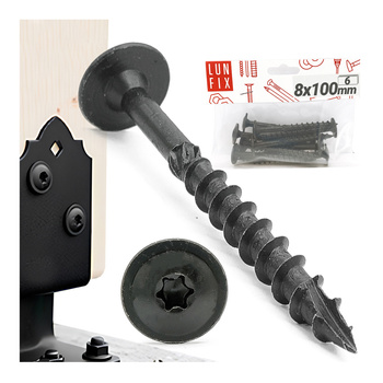 Pfostenschrauben Shwarz 8 x 100mm 6 Stück T40