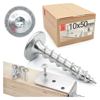 Pfostenschrauben 10 x 50mm 6 Stück T40