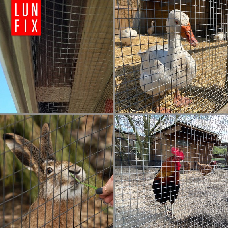 fa387e9be8b23b04ed7dc58f0c3050fb