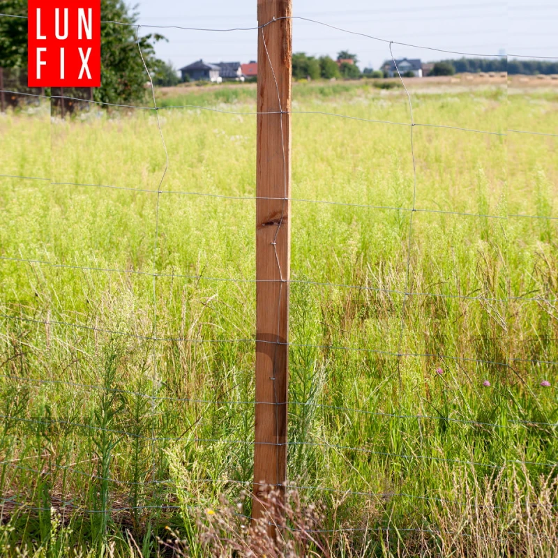 Siatka leśna budowlana 120cm fi 2-1,6mm ocynkowana 50mb + 100 sztuk skobli gratis!
