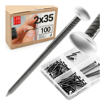 Bildernägel schwarz mit silberfarbenem Dekokopf  2x35 100 Stück