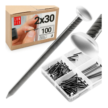 Bildernägel schwarz mit silberfarbenem Dekokopf  2x30 Betonnägel 100 Stück