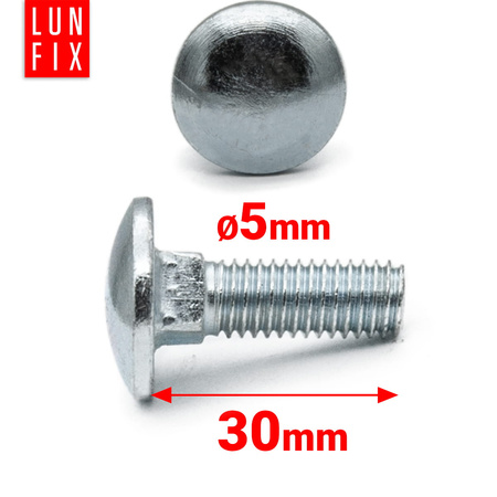 Schlossschrauben M5x30 1 kg (170 Stück)