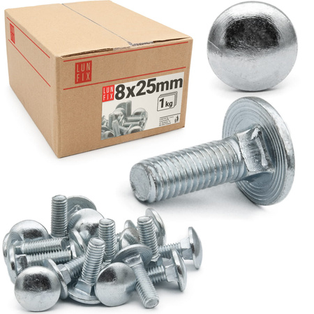 Schlossschrauben M8x25 1 kg (48 Stück)