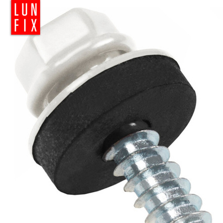 Trapezblechschrauben 4,8 x 25 mm 250 Stück Weiß RAL 9010