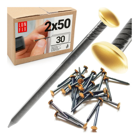 Bildernägel schwarz mit goldfarbenem Dekokopf 2x50 Betonnägel 30 Stück