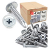 Bohrschrauben 4,2 x 19 mm 100 Stk.