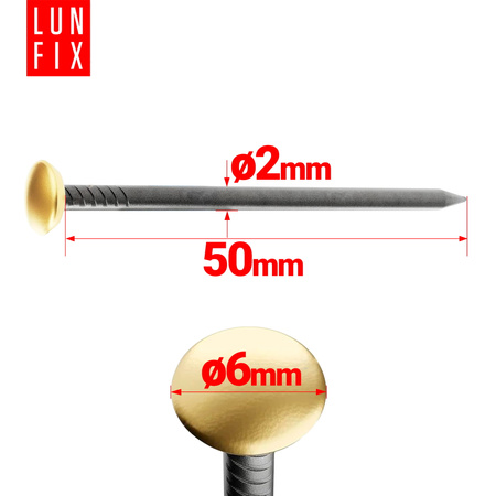 Bildernägel schwarz mit goldfarbenem Dekokopf  2x50 Betonnägel 100 Stück