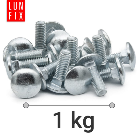 Schlossschrauben M8x25 1 kg (48 Stück)