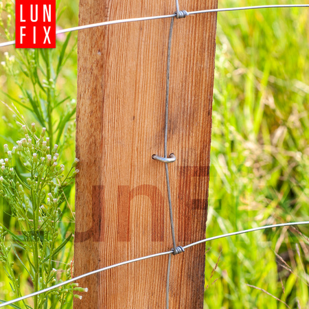 Krampen 3,8x38 5 kg (ca.800 Stk.)