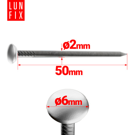 Bildernägel schwarz mit silberfarbenem Dekokopf 2x50 Betonnägel 30 Stück