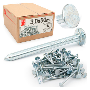 Dachpappennägel 3x50 (1kg)