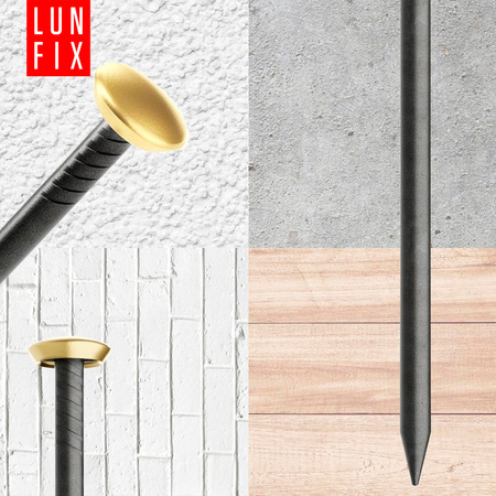 Bildernägel schwarz mit goldfarbenem Dekokopf 2x25 Betonnägel 30 Stück