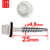 Trapezblechschrauben 4,8 x 25 mm 250 Stück Weiß RAL 9010