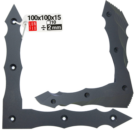 Flachwinkel Schwarz L 90 Grad 100x100x15x2 mm 10 Stück