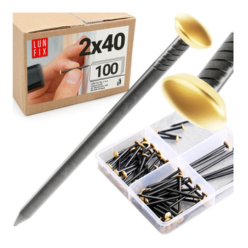 Bildernägel schwarz mit goldfarbenem Dekokopf  2x40 100 Stück