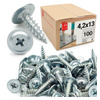 Selbstschneidende 4,2 x 13 mm 100 Stück