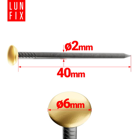 Bildernägel schwarz mit goldfarbenem Dekokopf  2x40 Betonnägel 100 Stück