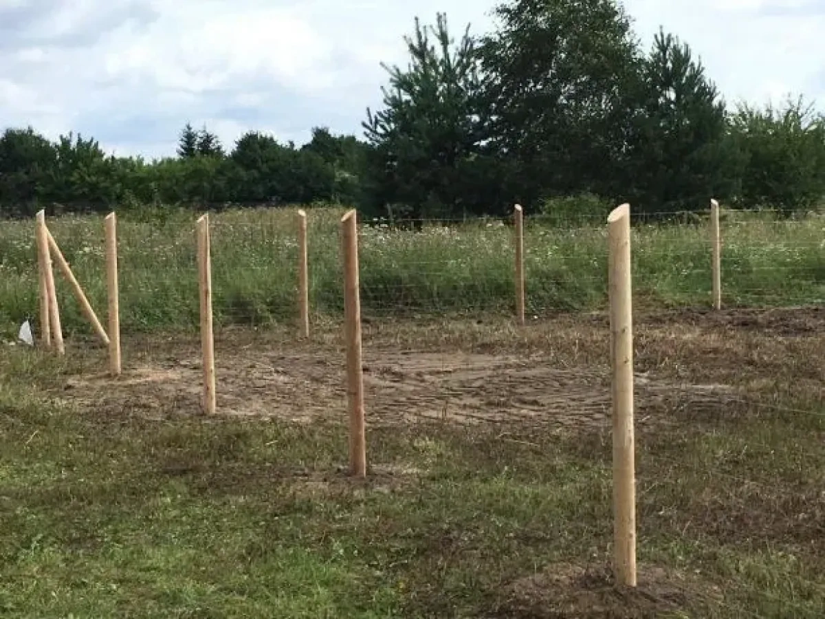 Wie schützt man den Garten vor Wildtieren?